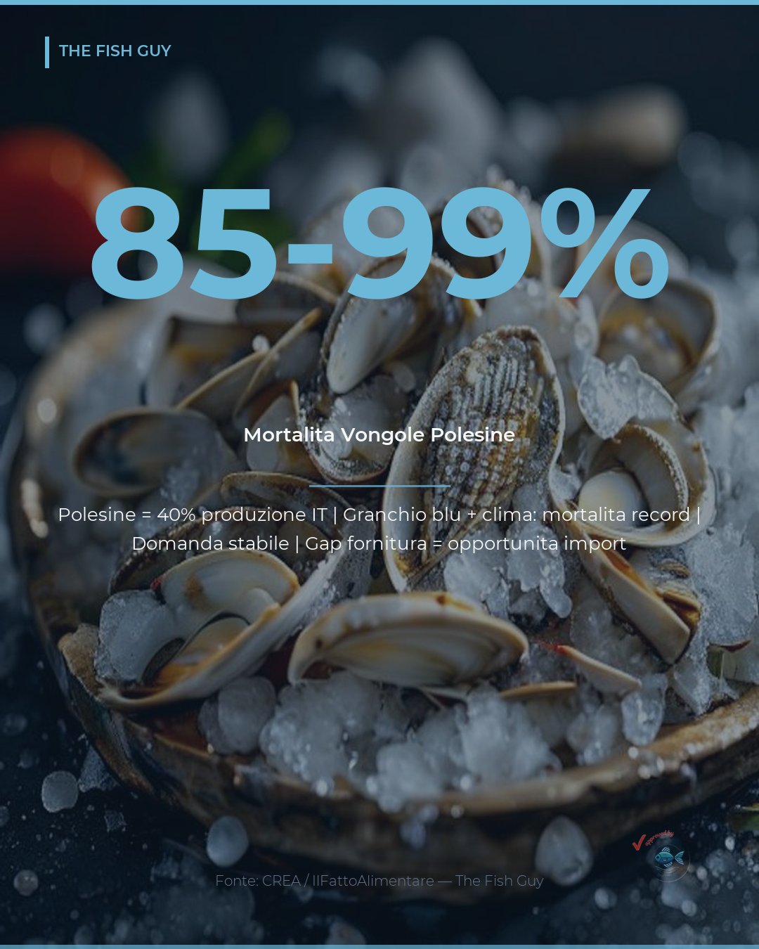 Vongole Italiane: Crisi Strutturale e Opportunità di Import