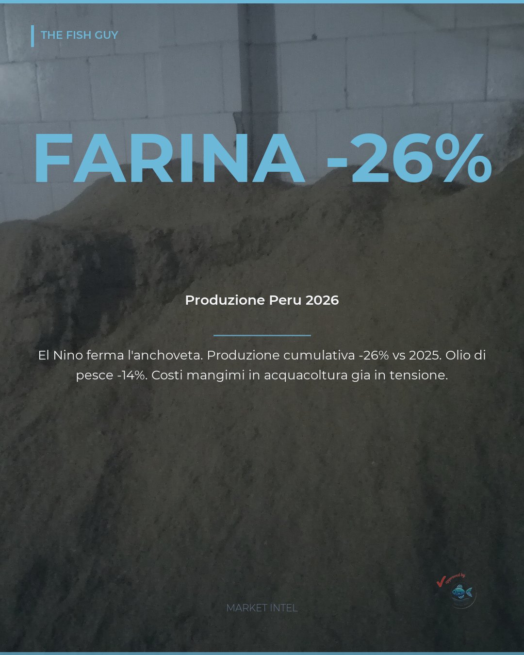 Farina di pesce in calo del 26%: El Niño ferma la pesca in Perù