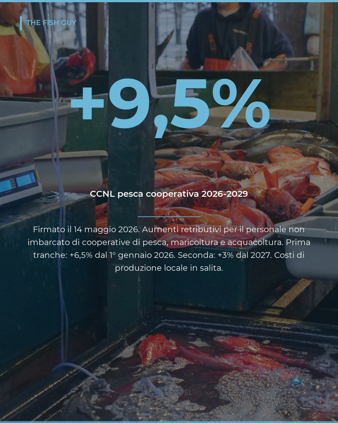 CCNL Cooperative Pesca 2026: +9,5% del costo lavoro in due anni