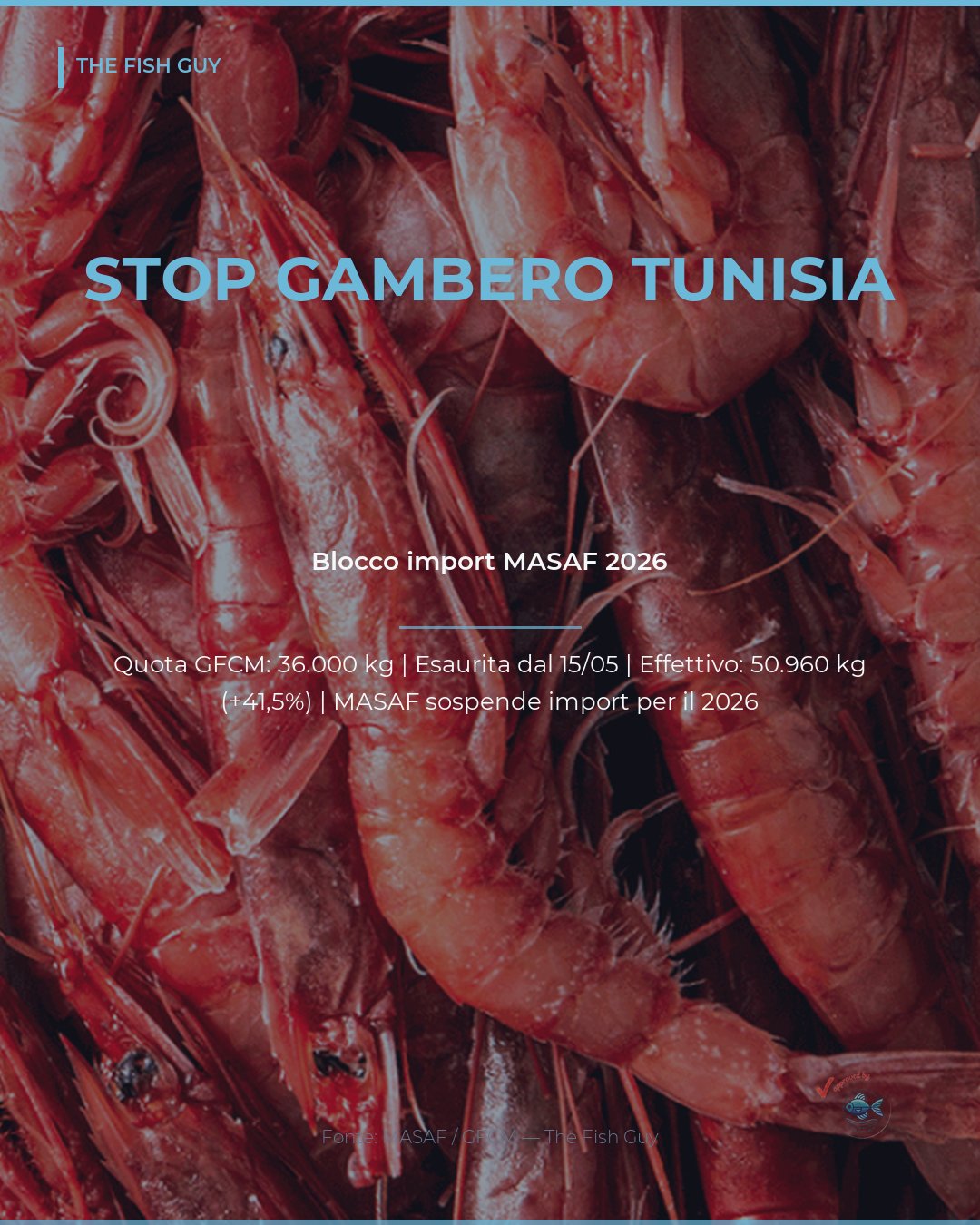 Gambero rosso tunisino: MASAF sospende import 2026, quota GFCM superata del 41%