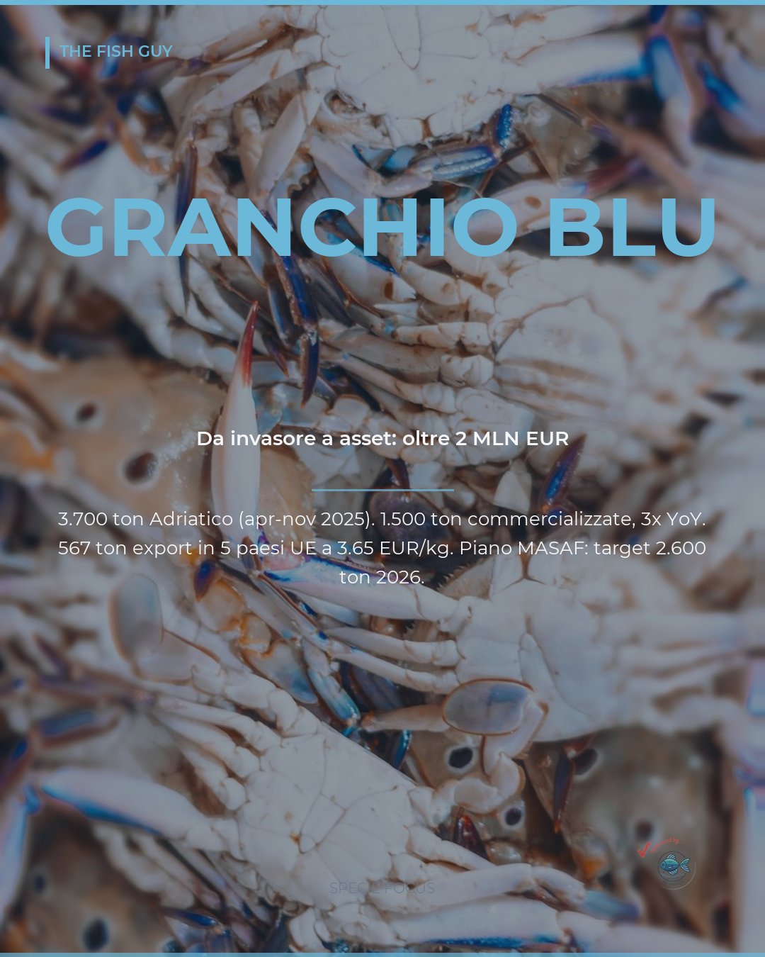 Granchio Blu: da Emergenza Ecologica ad Asset da 2 Milioni