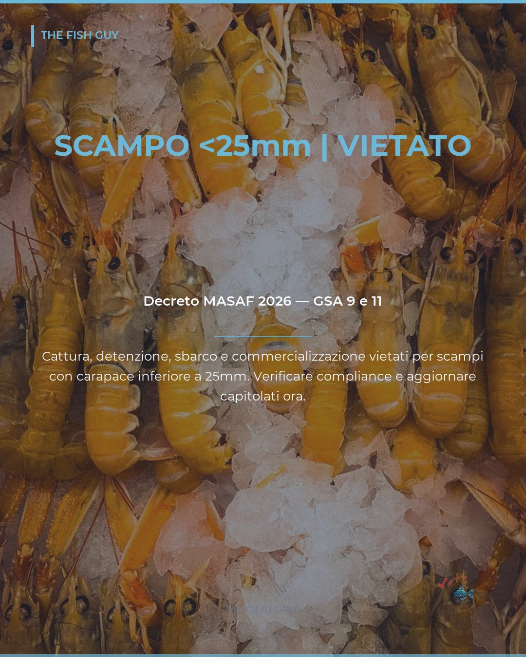Decreto MASAF 2026: scampo vietato sotto i 25mm nelle GSA 9 e 11