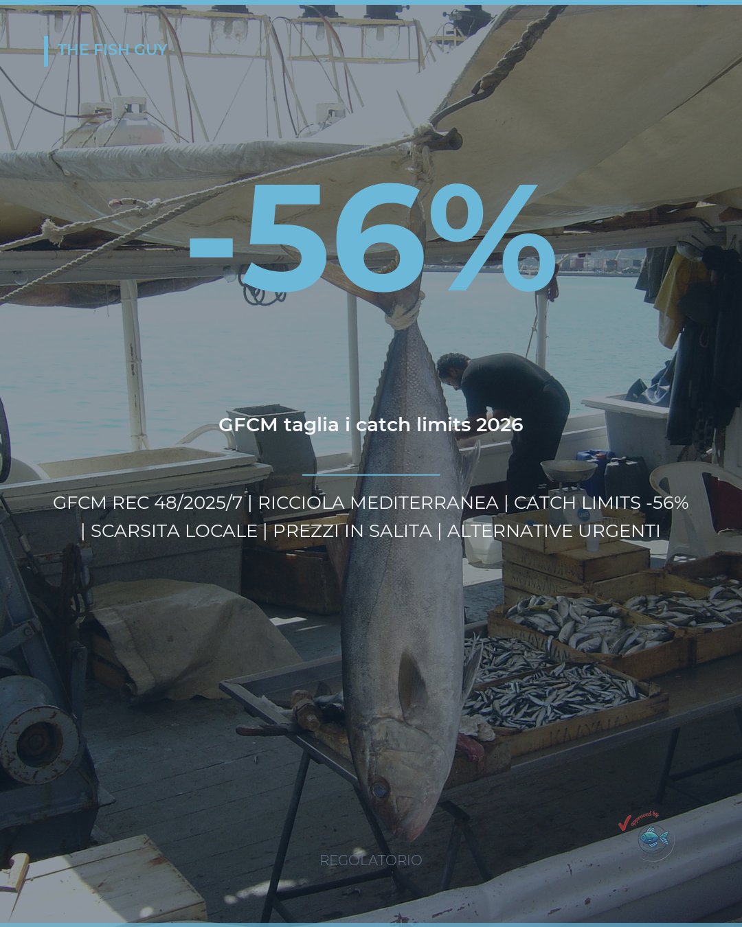 Ricciola nel Mediterraneo: -56% di catture consentite nel 2026