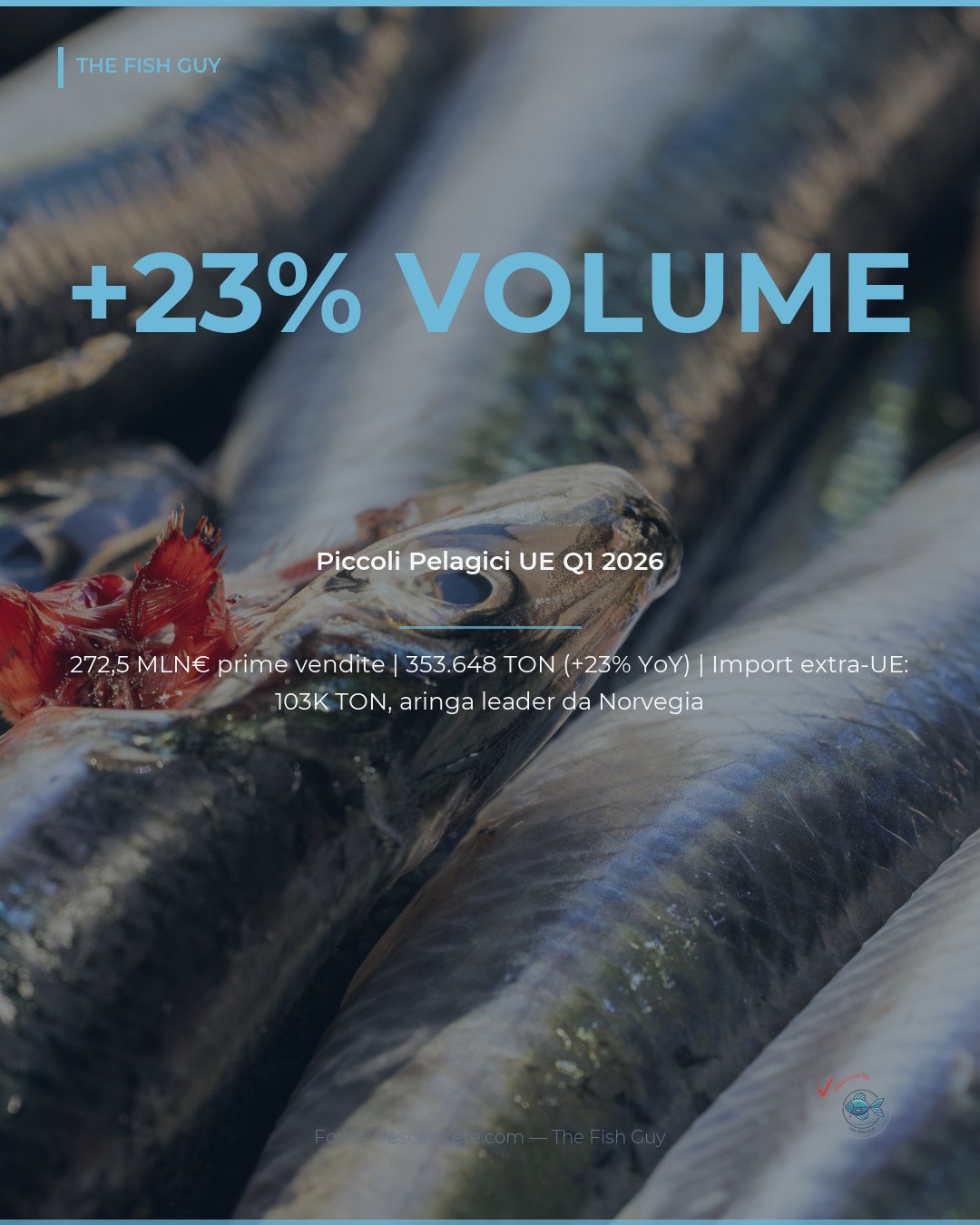 Piccoli Pelagici UE Q1 2026: +23% di Volume, Prezzi Retail +32% in Due Anni