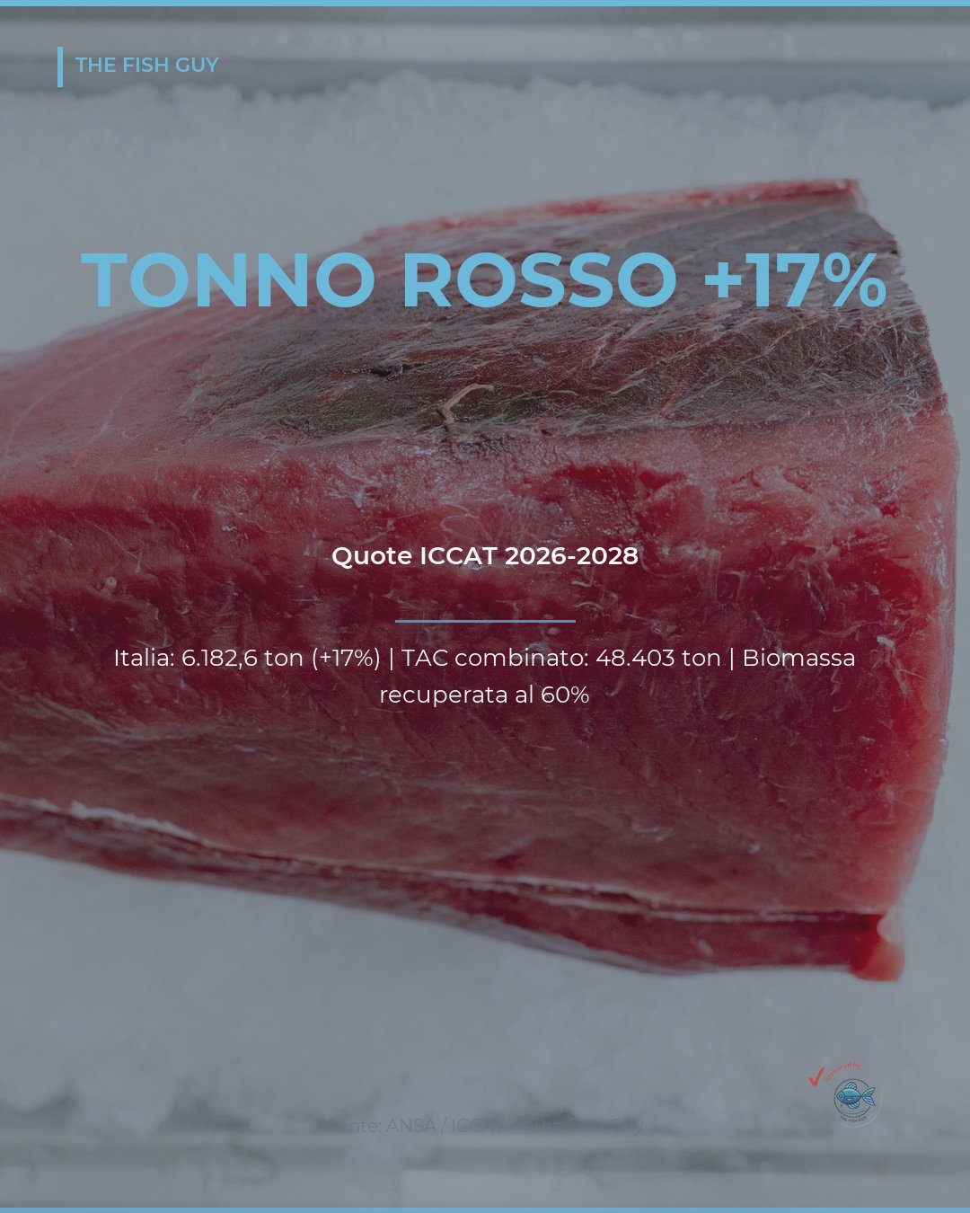 Tonno Rosso: Italia +17% di Quota nel 2026, ma il 20-30% del Pescato Globale è Illegale