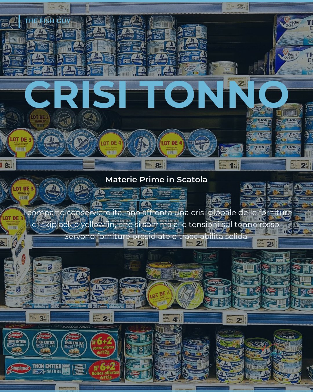 Tonno in Scatola: la Crisi Globale delle Materie Prime