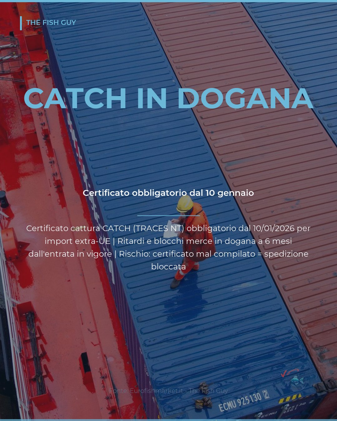 CATCH Digitale: 6 Mesi Dopo, Ancora Blocchi in Dogana