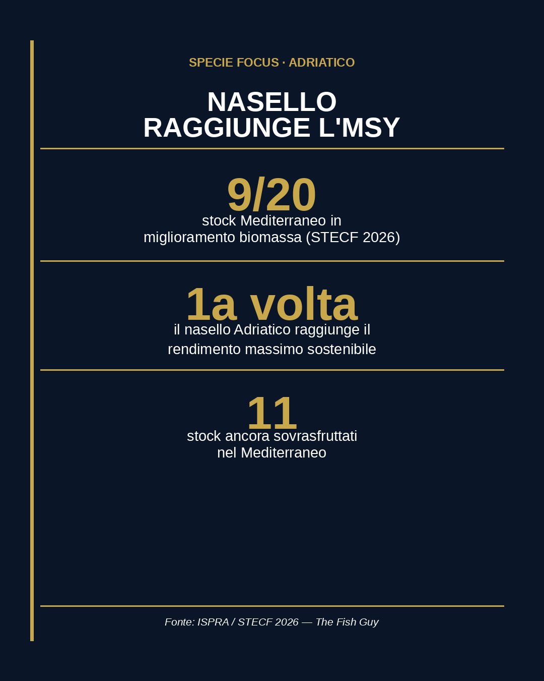 Nasello dell'Adriatico: raggiunto per la prima volta l'MSY