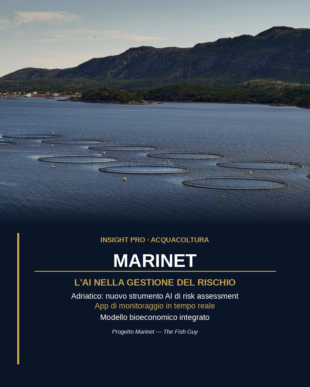 Progetto Marinet: l'AI entra nella gestione del rischio in acquacoltura