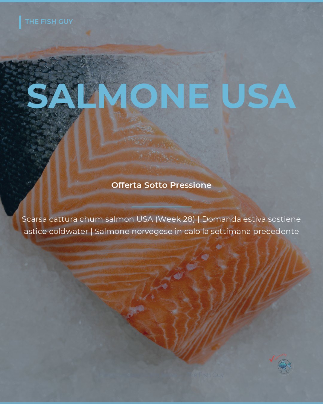 Salmone USA in Tensione, Astice Coldwater Regge sull'Estate