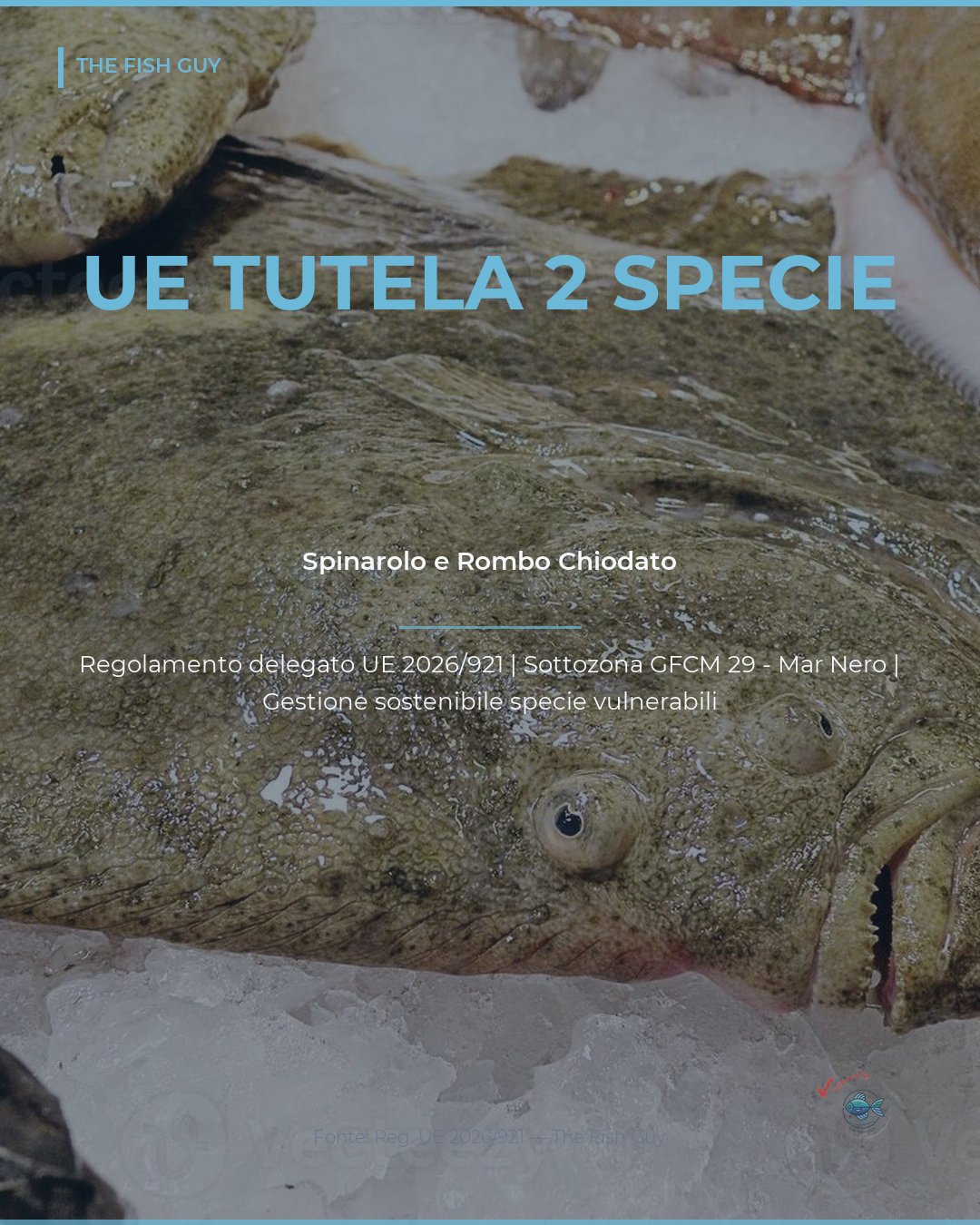 UE: Nuove Tutele per Spinarolo e Rombo Chiodato nel Mar Nero