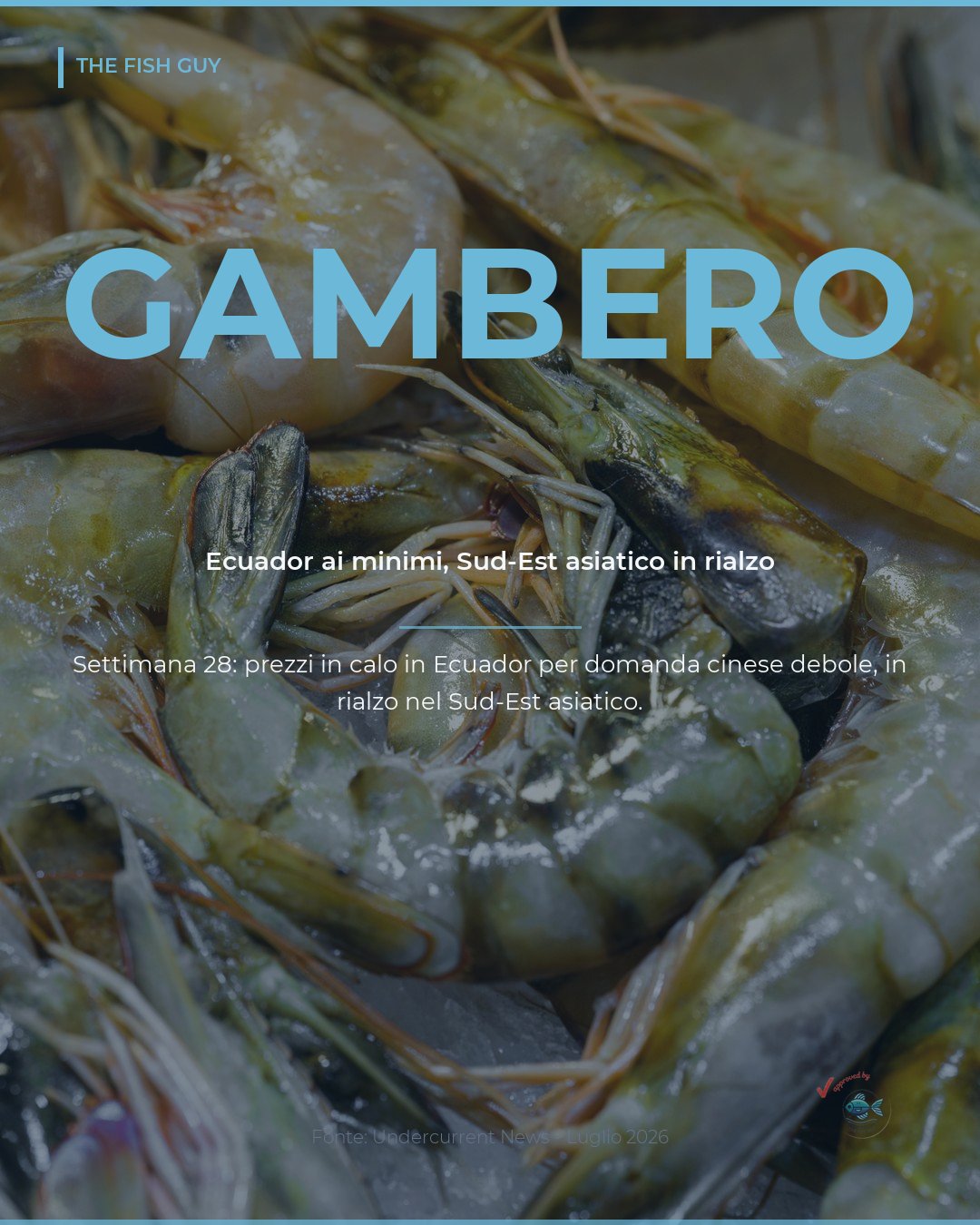 Gambero: Ecuador ai minimi, Sud-Est asiatico in rialzo