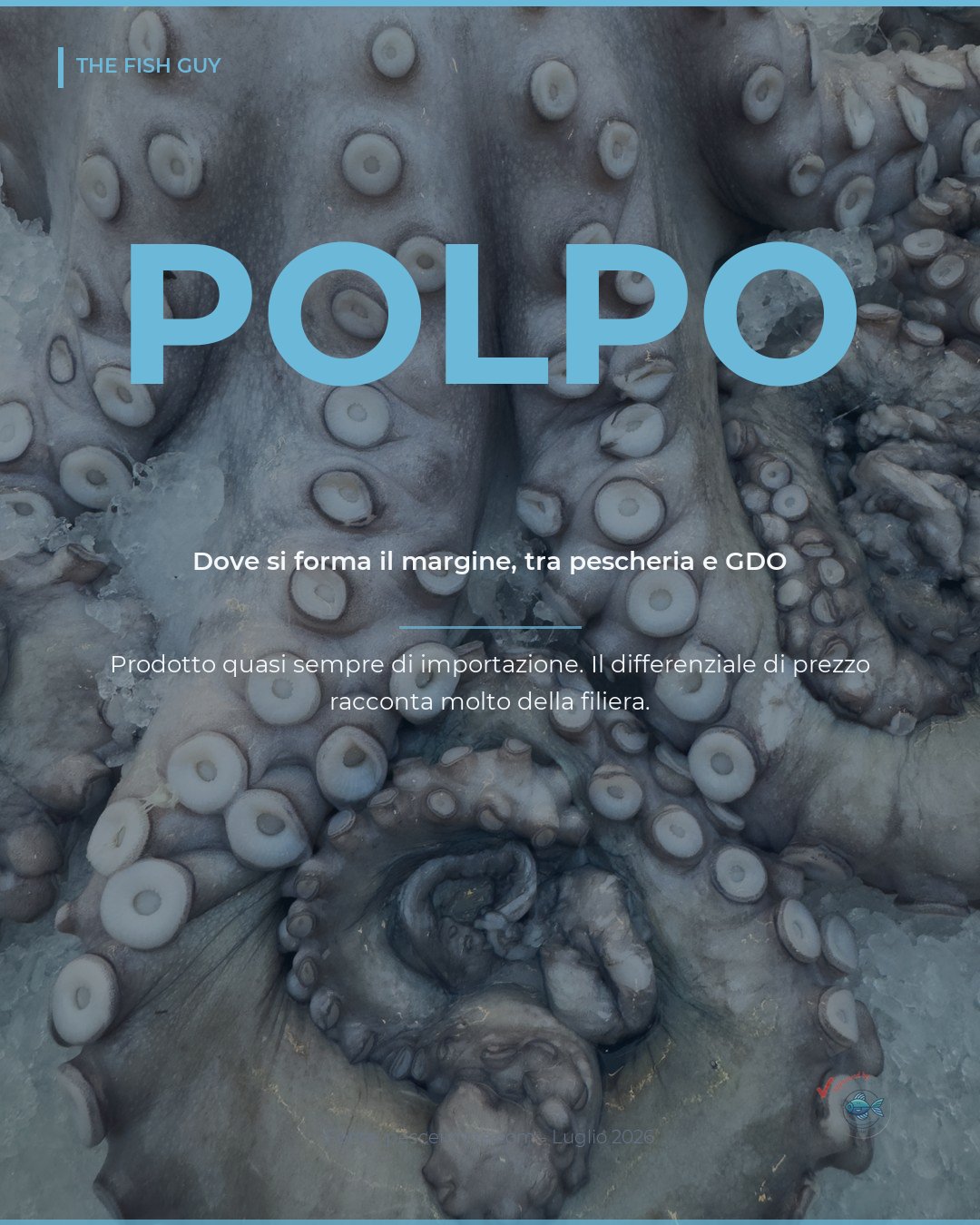 Polpo: il prezzo che si perde tra pescheria e GDO
