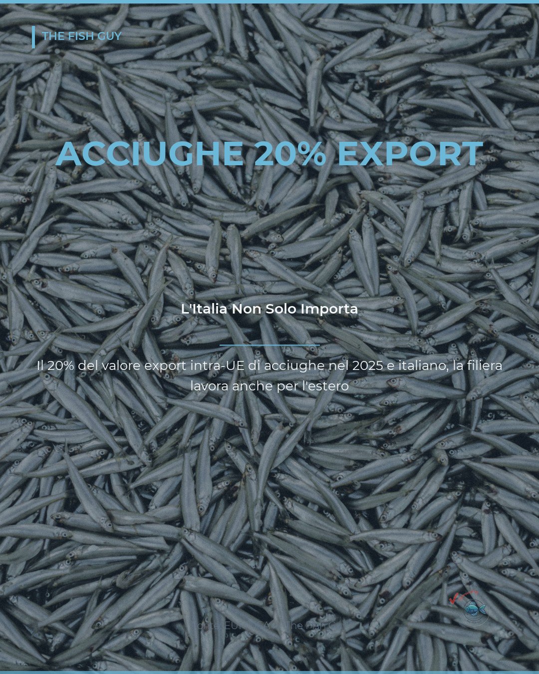 Acciughe italiane: il 20% del valore export UE nel 2025