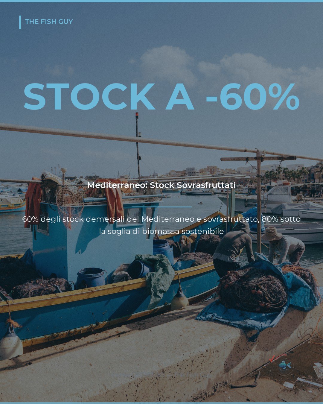 Mediterraneo: il 60% degli stock ittici e sovrasfruttato