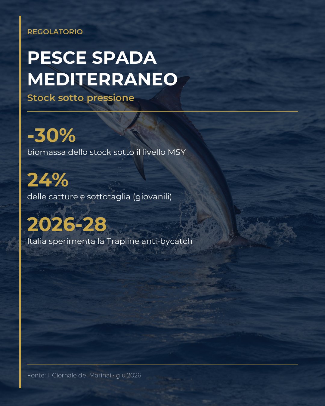 Pesce spada Mediterraneo: stock al 30% sotto la soglia MSY