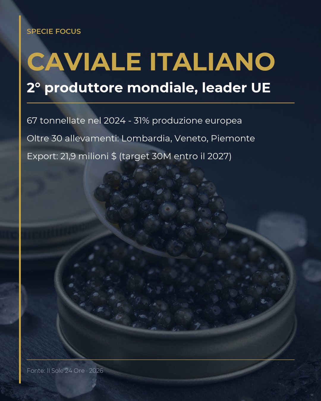 Caviale italiano: leader europeo con 67 tonnellate nel 2024