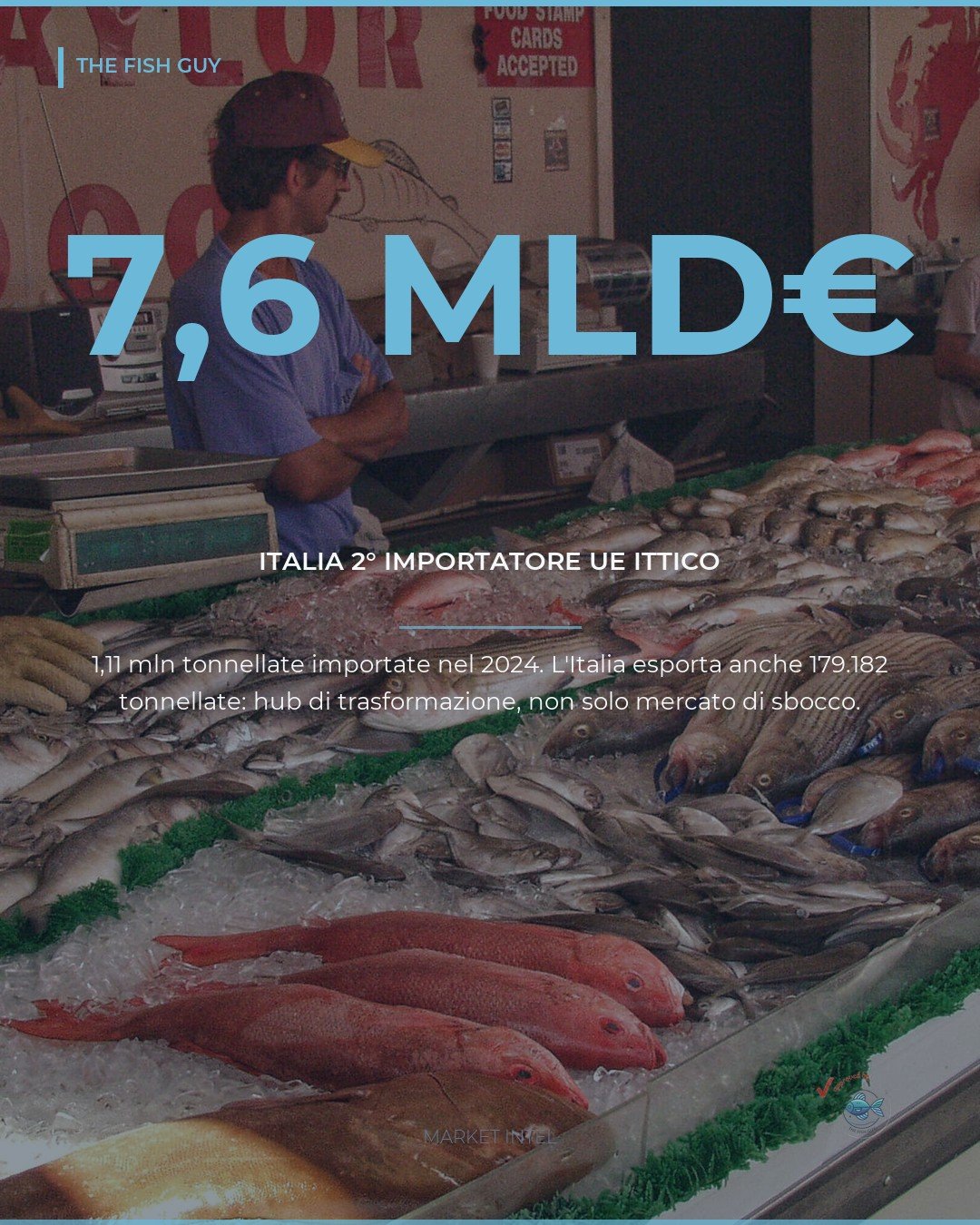 Italia, secondo importatore UE ittico: 7,6 miliardi di euro