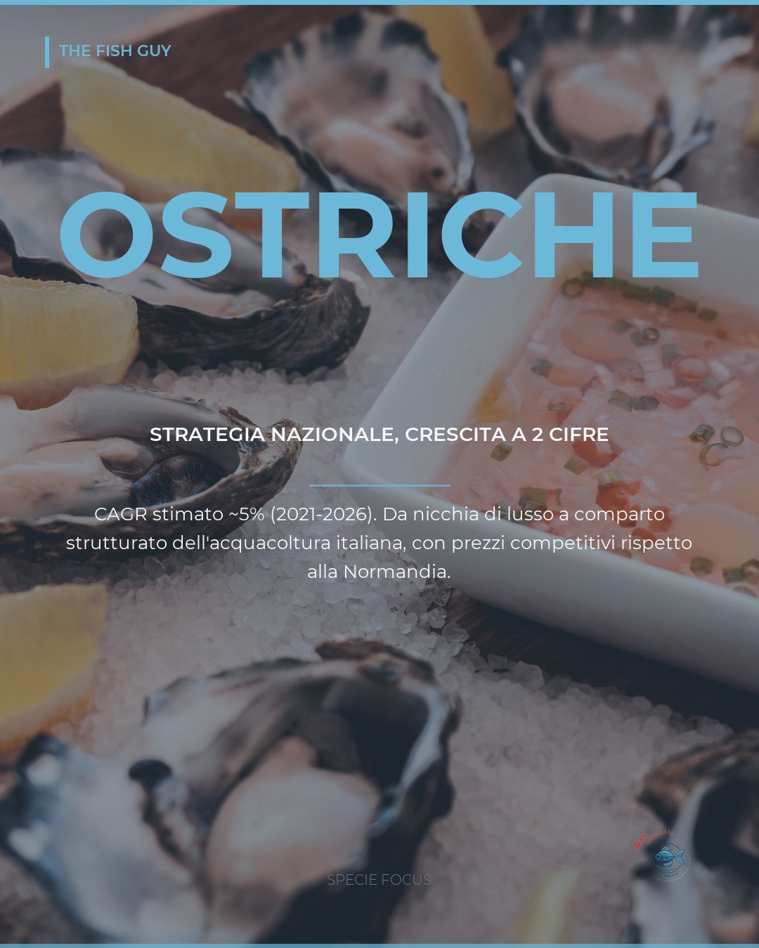 Ostriche italiane: nasce la strategia nazionale del comparto