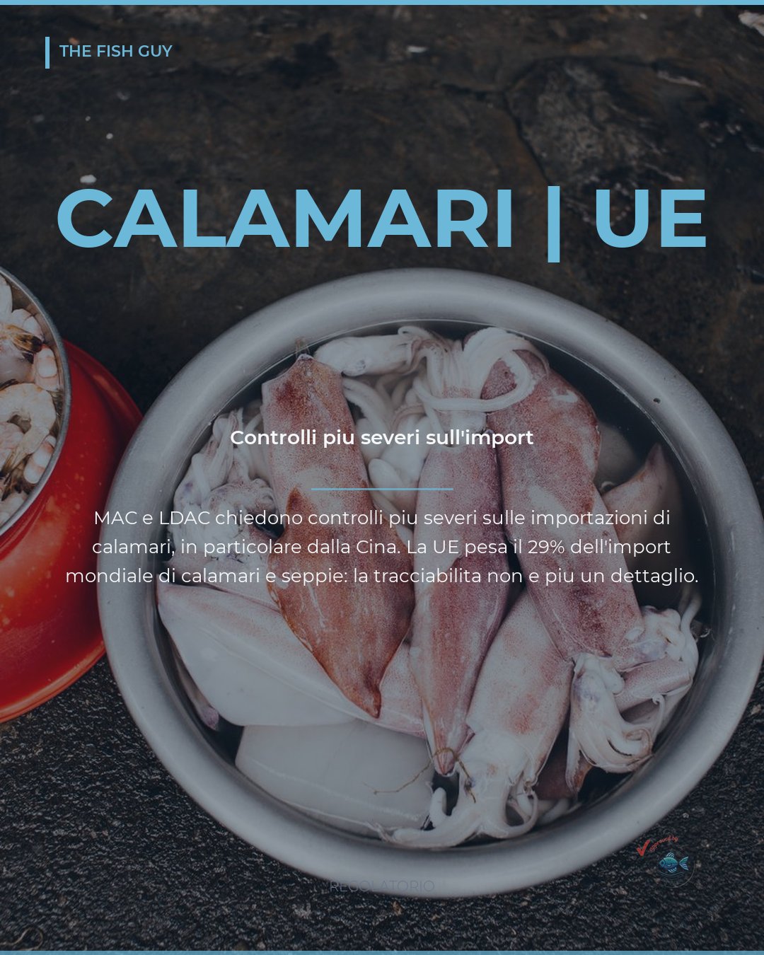 Calamari: la UE stringe i controlli sull'import dalla Cina