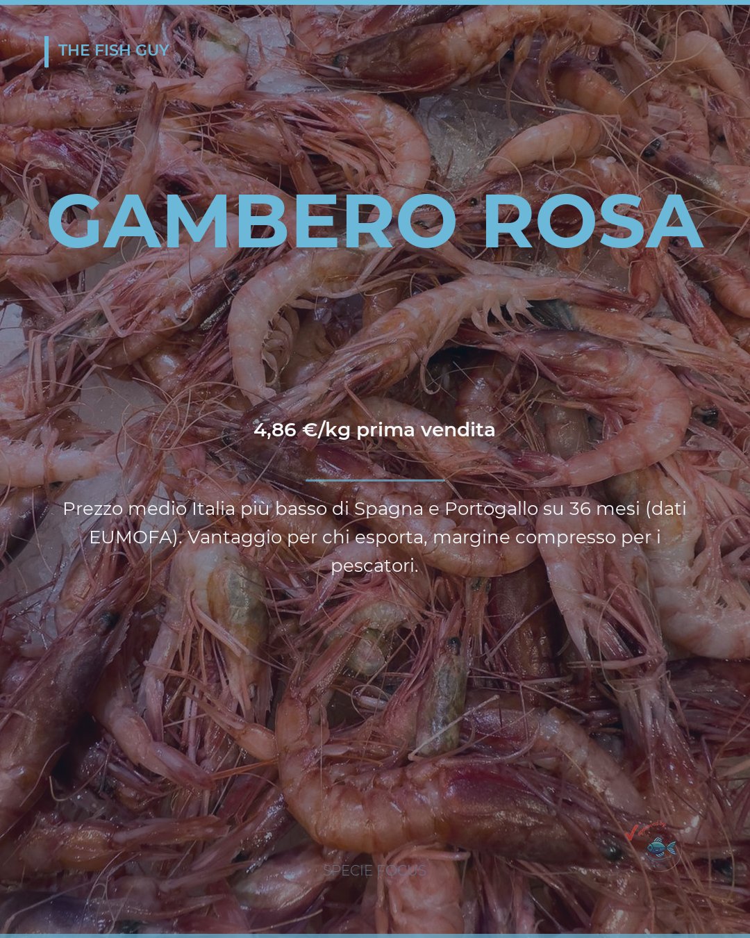 Gambero Rosa Italiano: il Prezzo più Basso tra Italia, Spagna e Portogallo