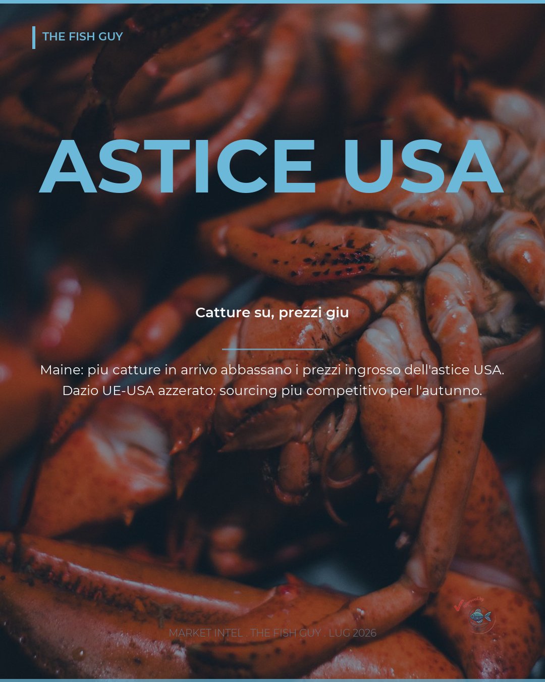 Astice USA: Più Catture nel Maine, Prezzi in Discesa