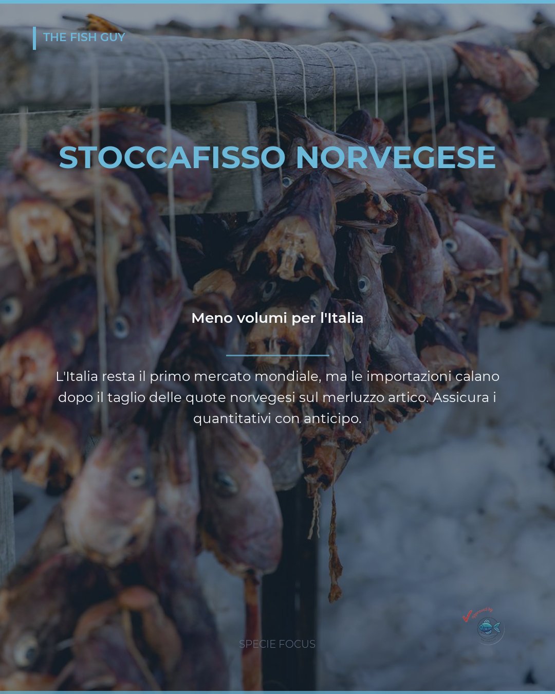 Stoccafisso Norvegese: Volumi in Calo per l'Italia