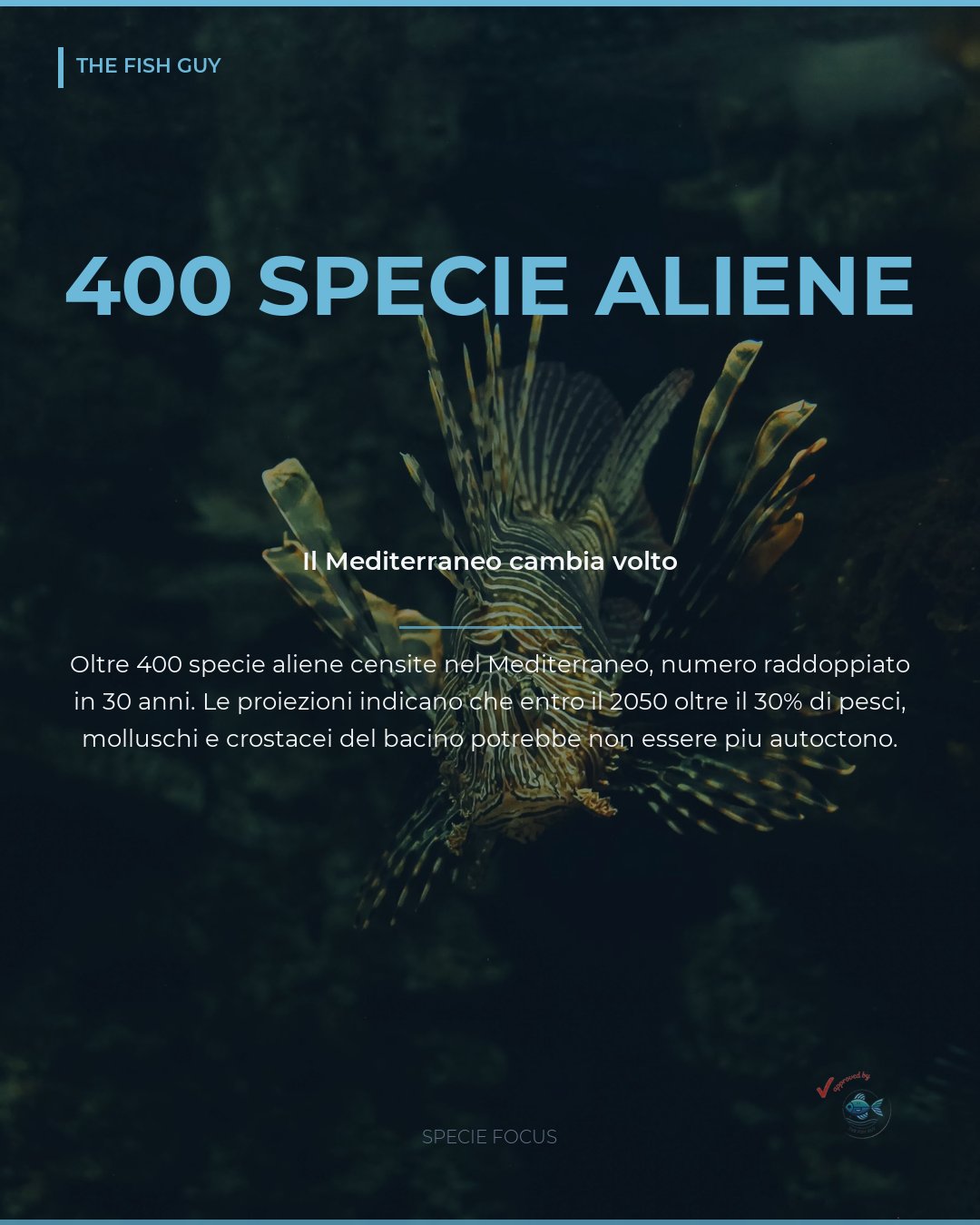 Mediterraneo tropicale: oltre 400 specie aliene in espansione