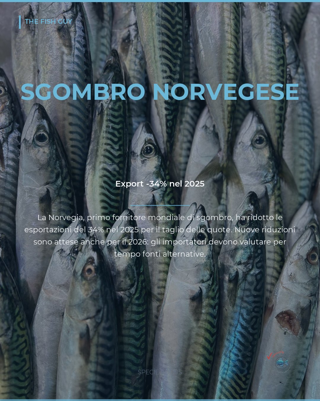 Sgombro norvegese: meno volumi, nuovi tagli alle quote 2026