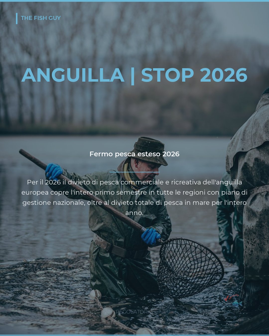 Anguilla europea: nel 2026 il fermo pesca copre mezzo anno