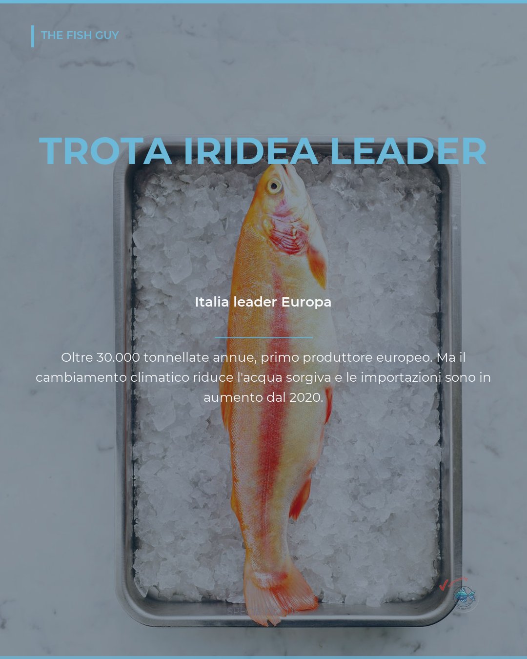 Trota iridea: l'Italia è leader europeo, ma manca l'acqua