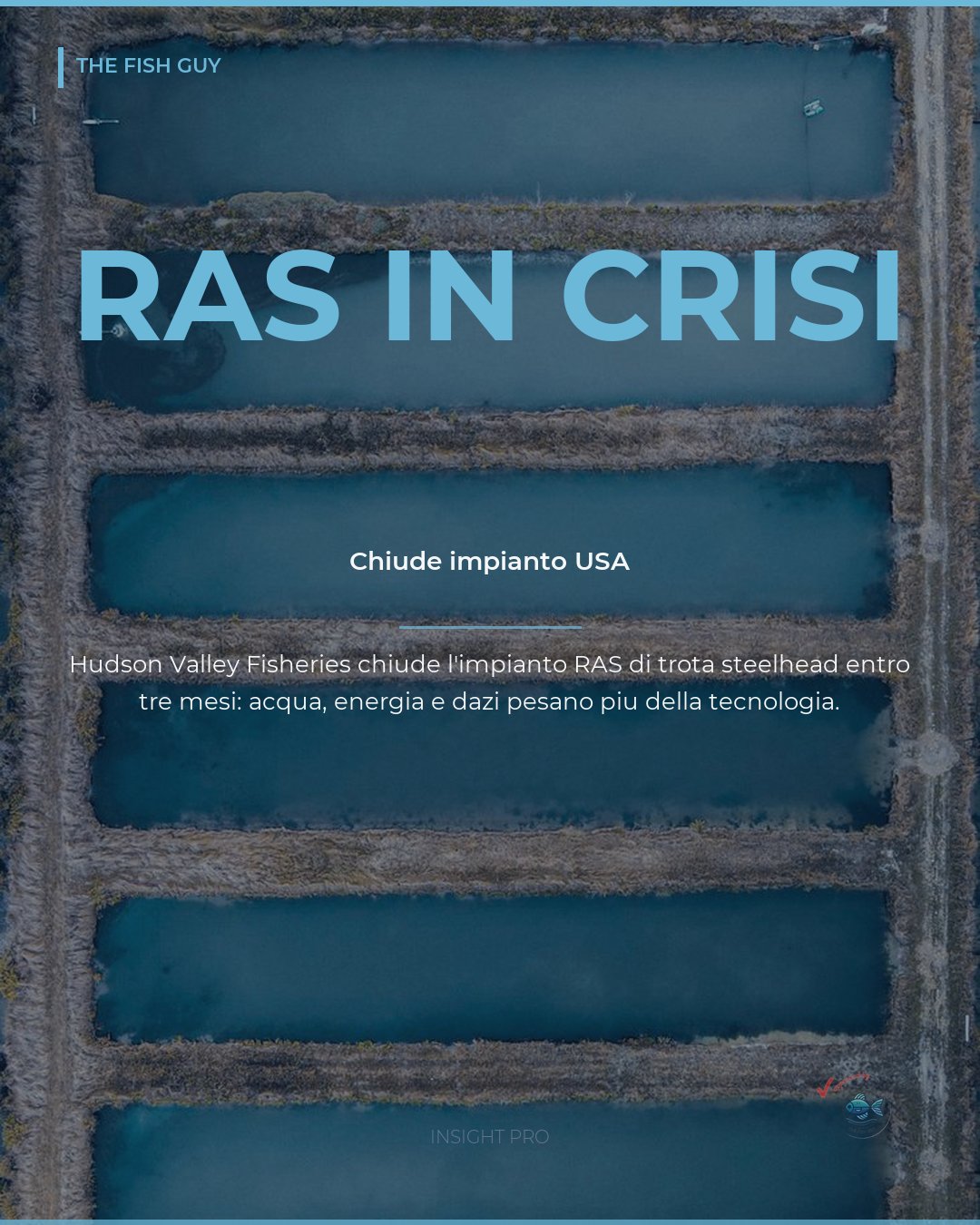 RAS steelhead USA: chiude un impianto avanzato, lezione economica