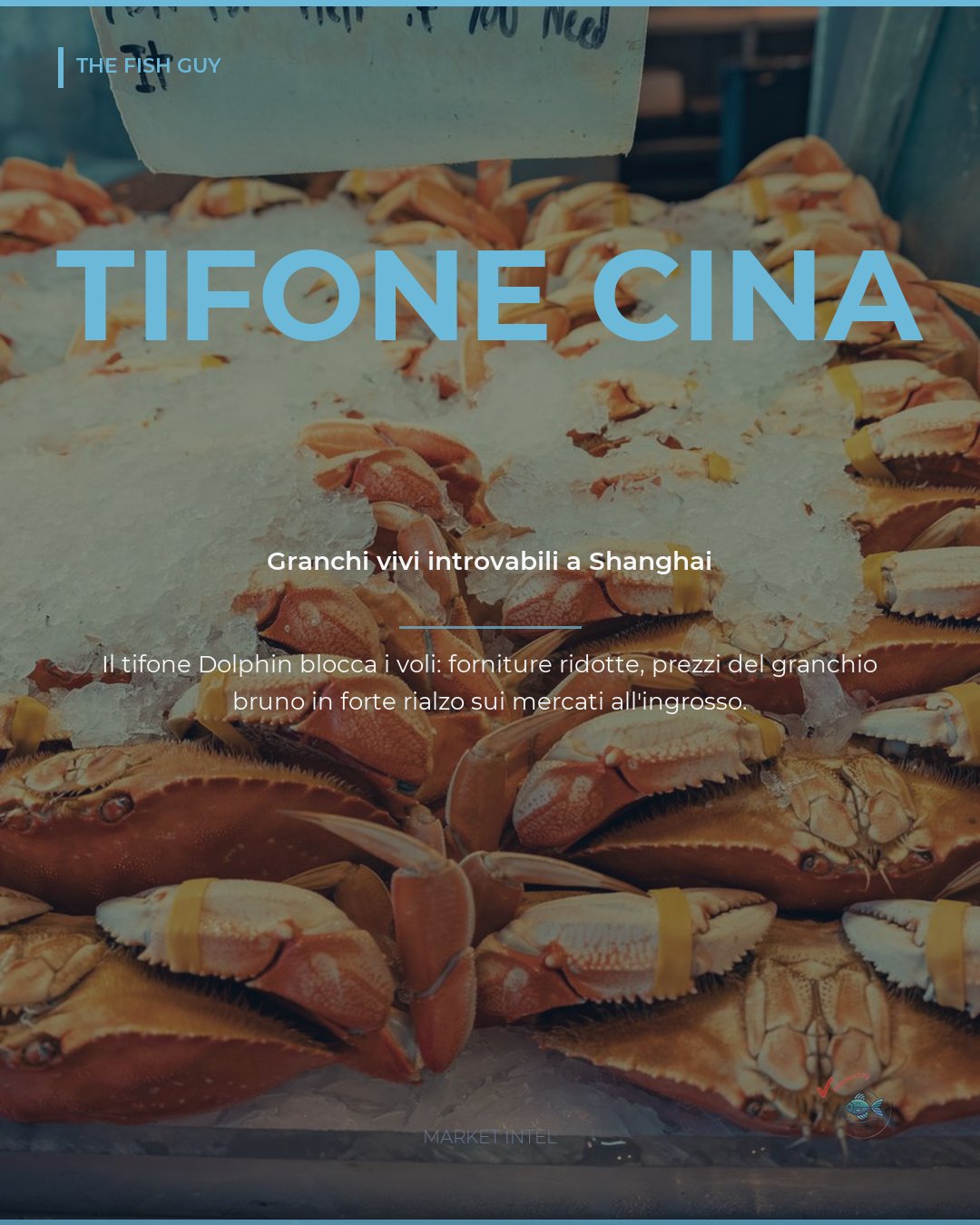 Tifone in Cina: granchi vivi introvabili sui mercati di Shanghai