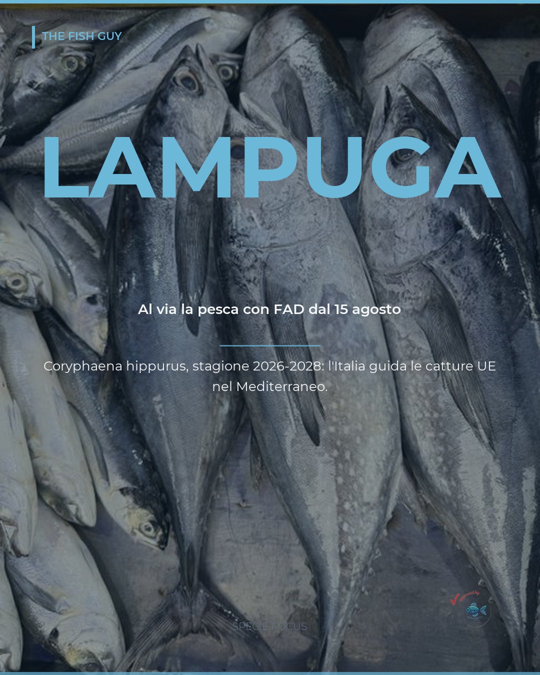 Lampuga, dal 15 agosto riparte la pesca con FAD