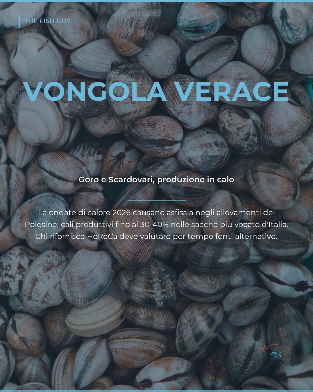 Vongola verace: il caldo mette in crisi Goro e Scardovari