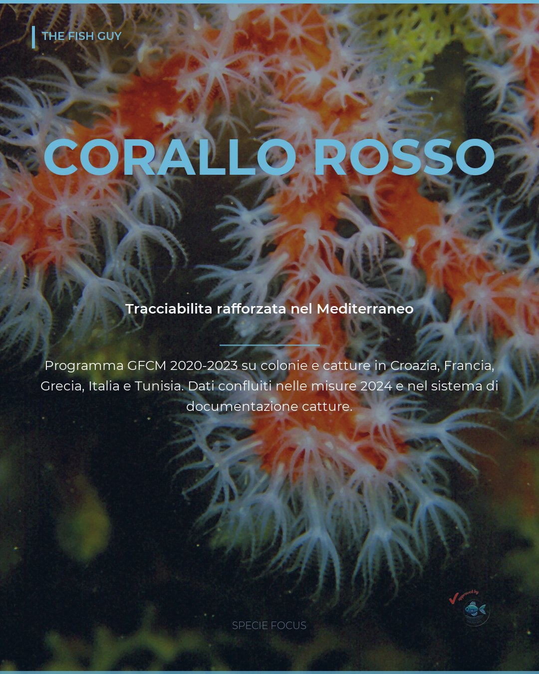 Corallo rosso: il Mediterraneo rafforza la tracciabilita