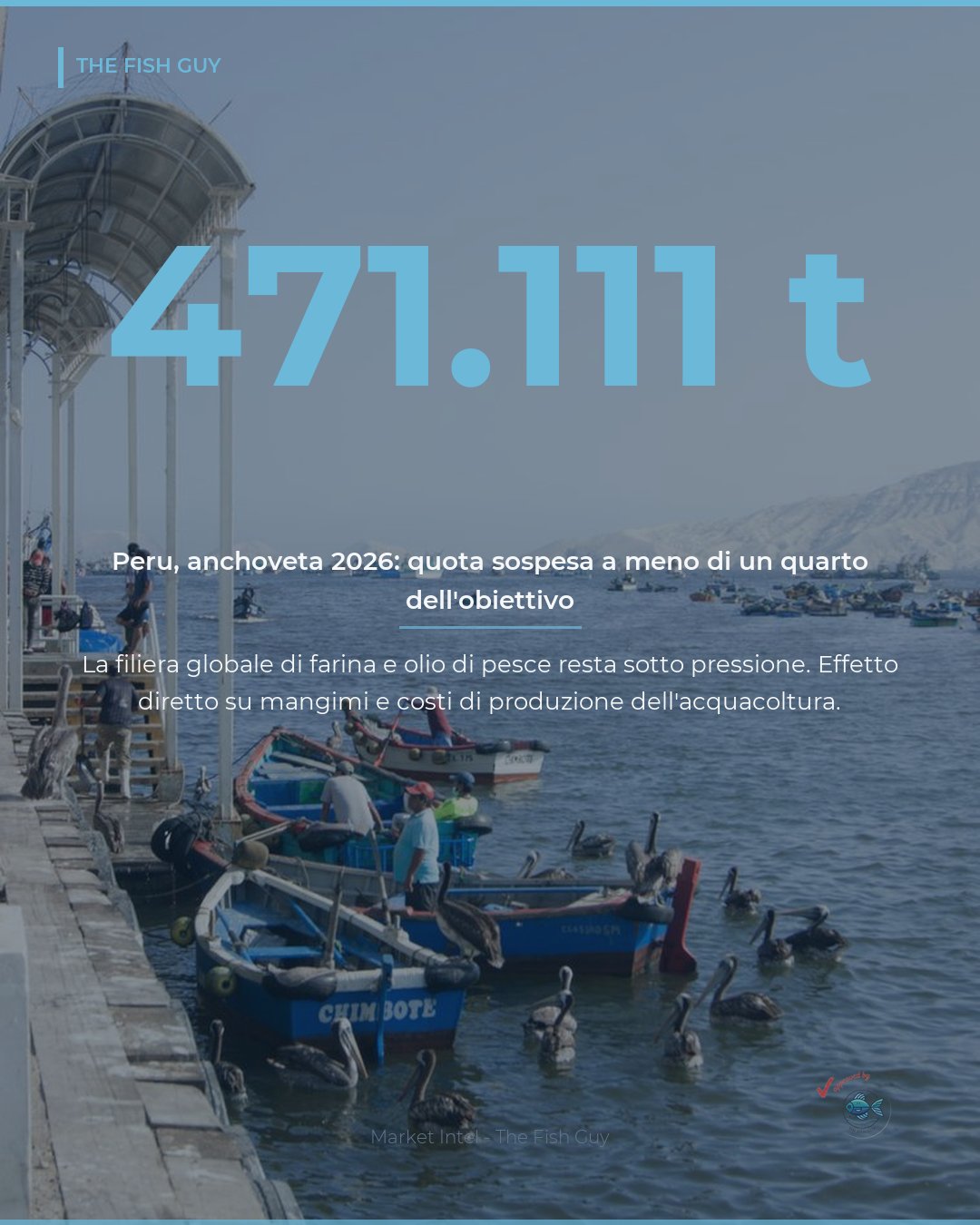 Farina di pesce: il deficit peruviano 2026 scuote la filiera globale
