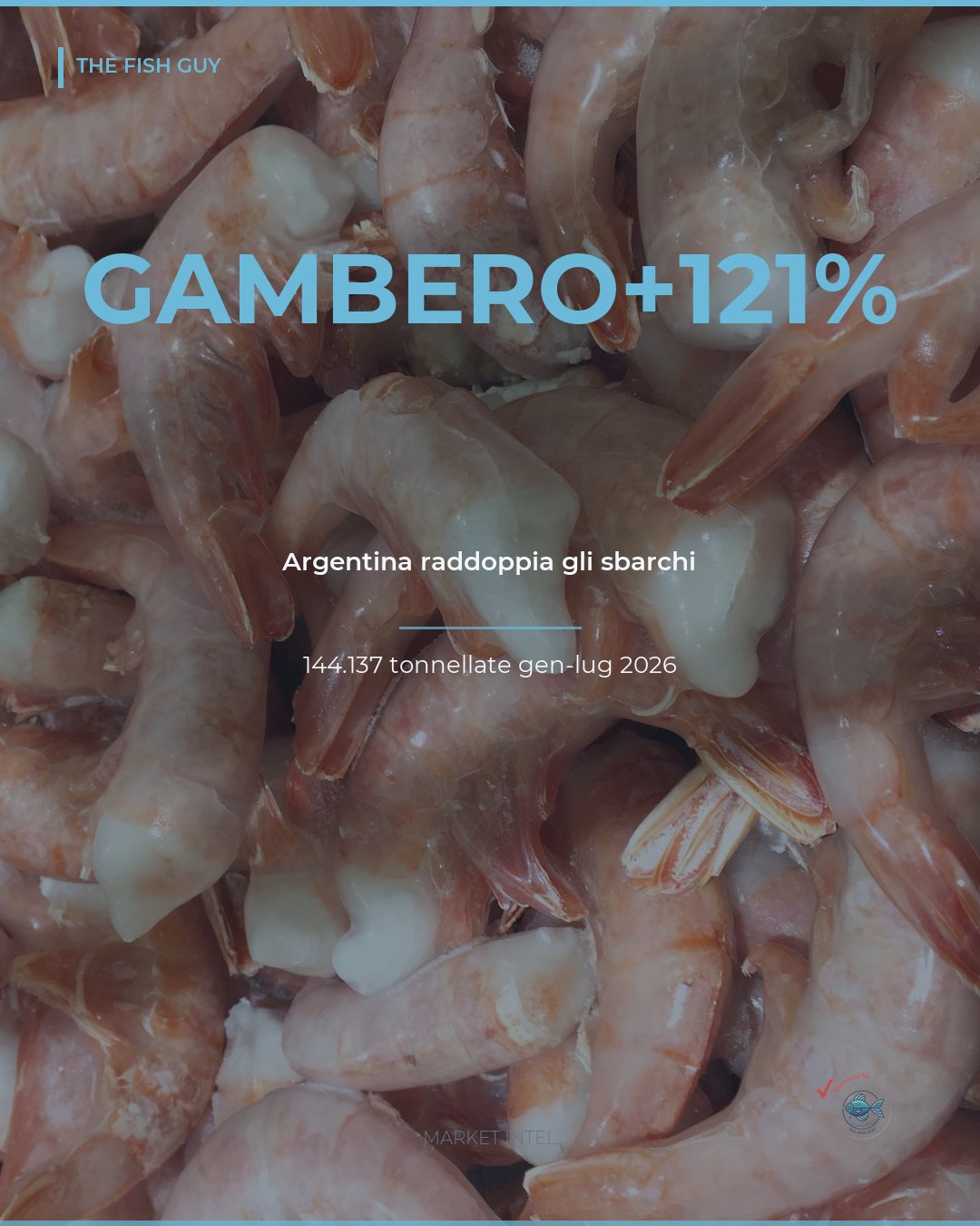 Argentina: Sbarchi di Langostino Più che Raddoppiati nel 2026