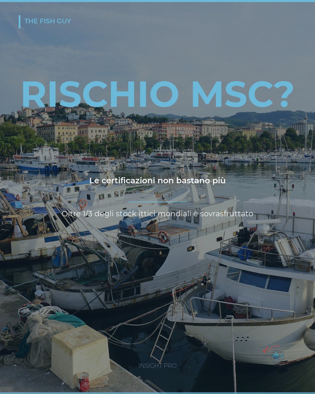Certificazioni Ittiche: Quando il Bollino Non Basta Più a Proteggere i Buyer
