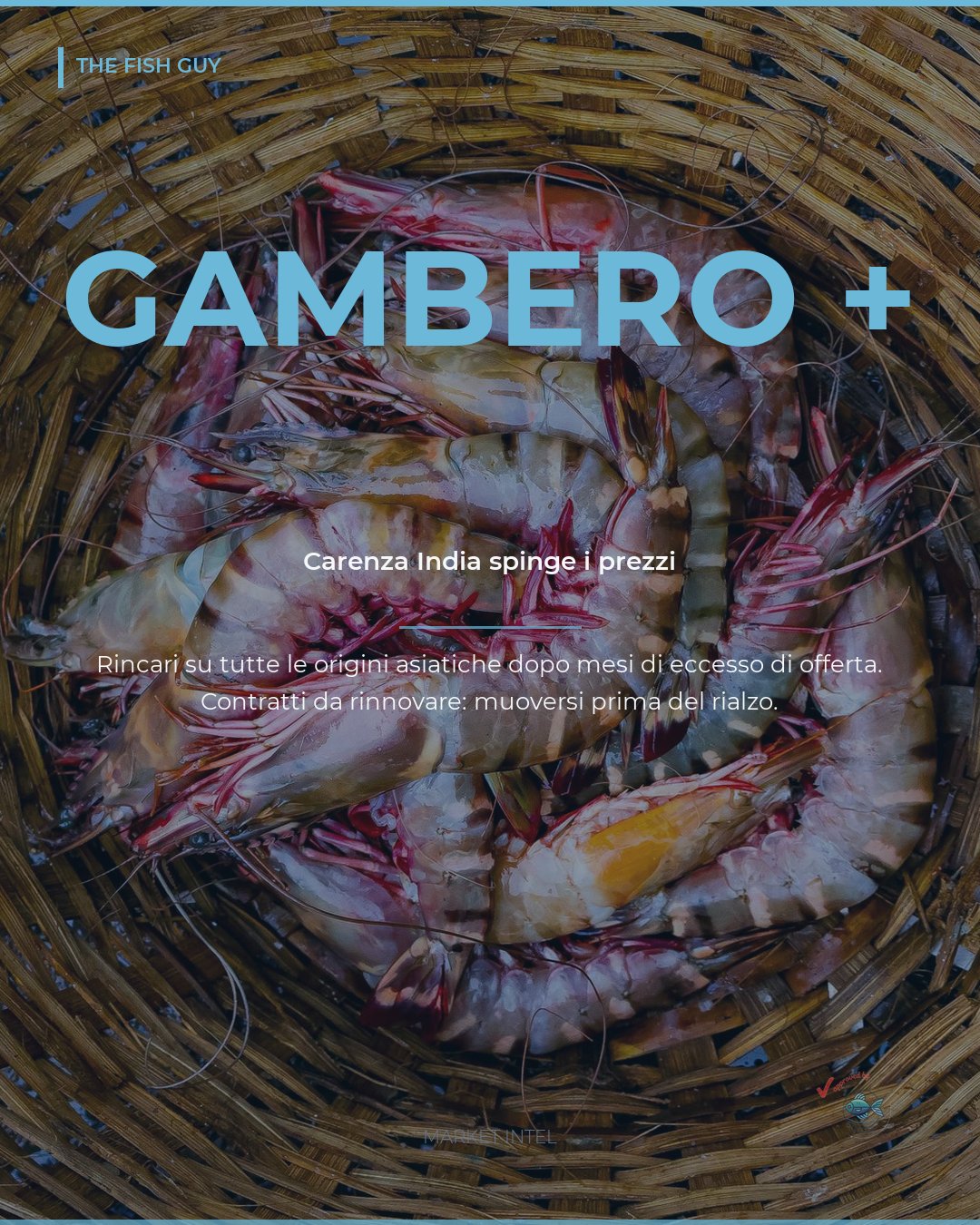 Gambero Asiatico: la Carenza in India Ribalta la Narrativa di Eccesso di Offerta