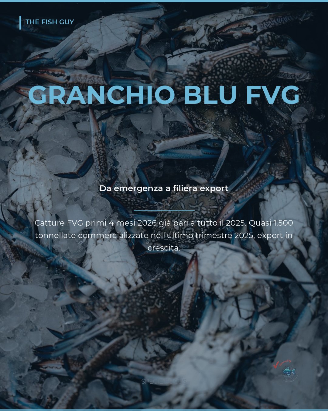 Granchio Blu: da Emergenza a Filiera Export, le Catture del Friuli Venezia Giulia Già Pari al 2025