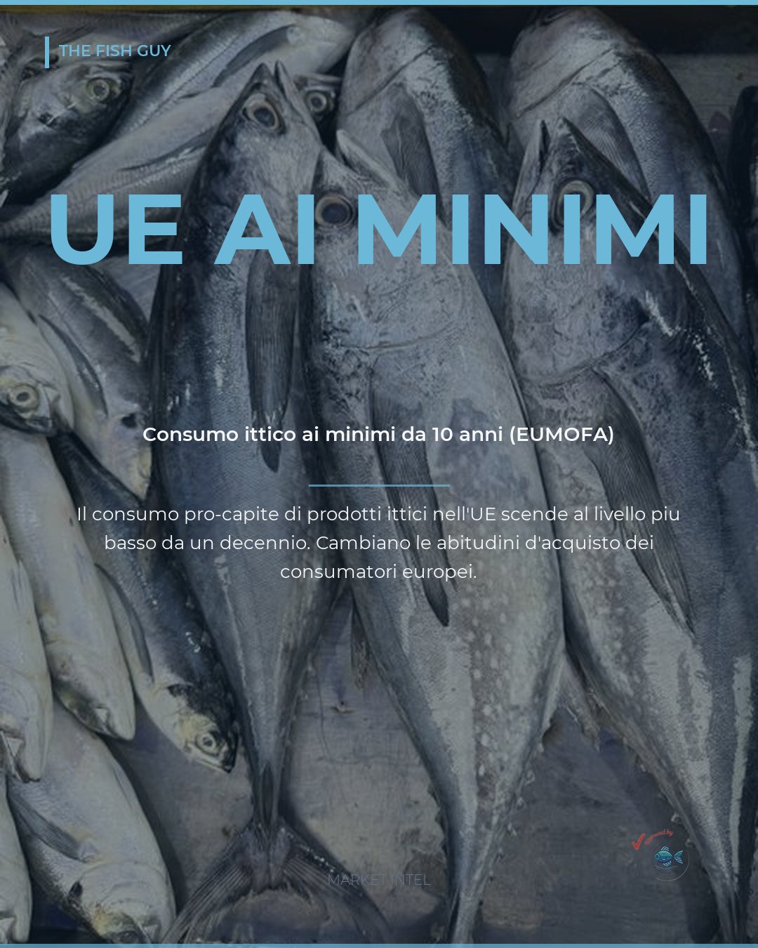 Consumo ittico UE ai minimi da 10 anni: cosa dicono i dati EUMOFA