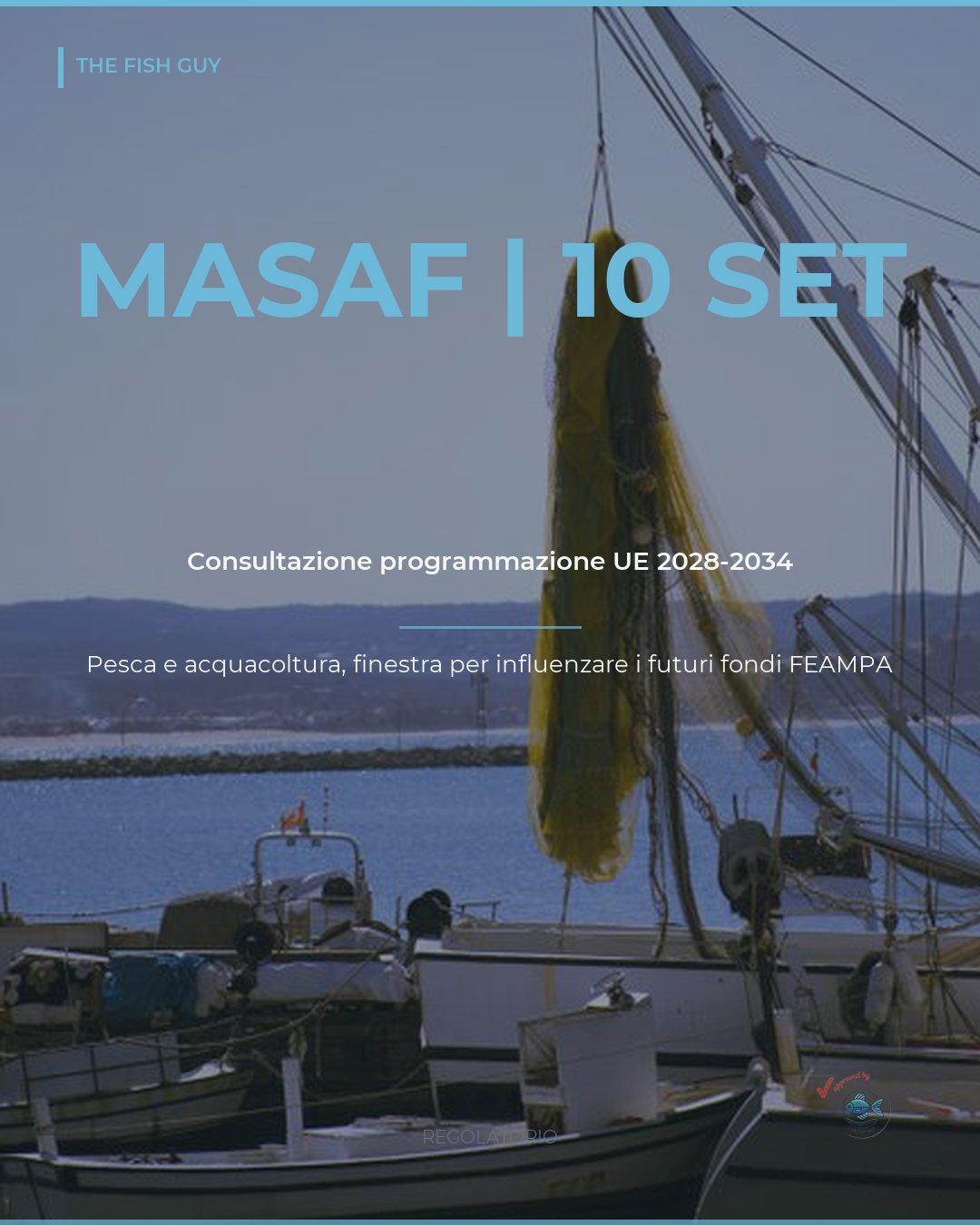 Pesca UE post-2027: il MASAF apre la consultazione fino al 10 settembre