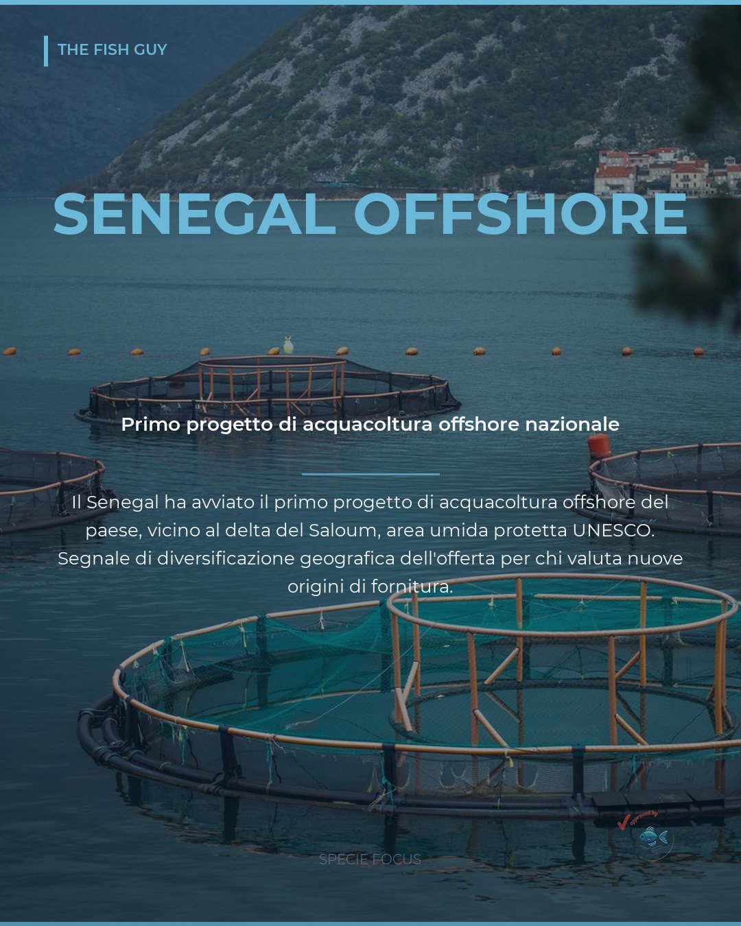 Senegal: al via il primo progetto di acquacoltura offshore del paese
