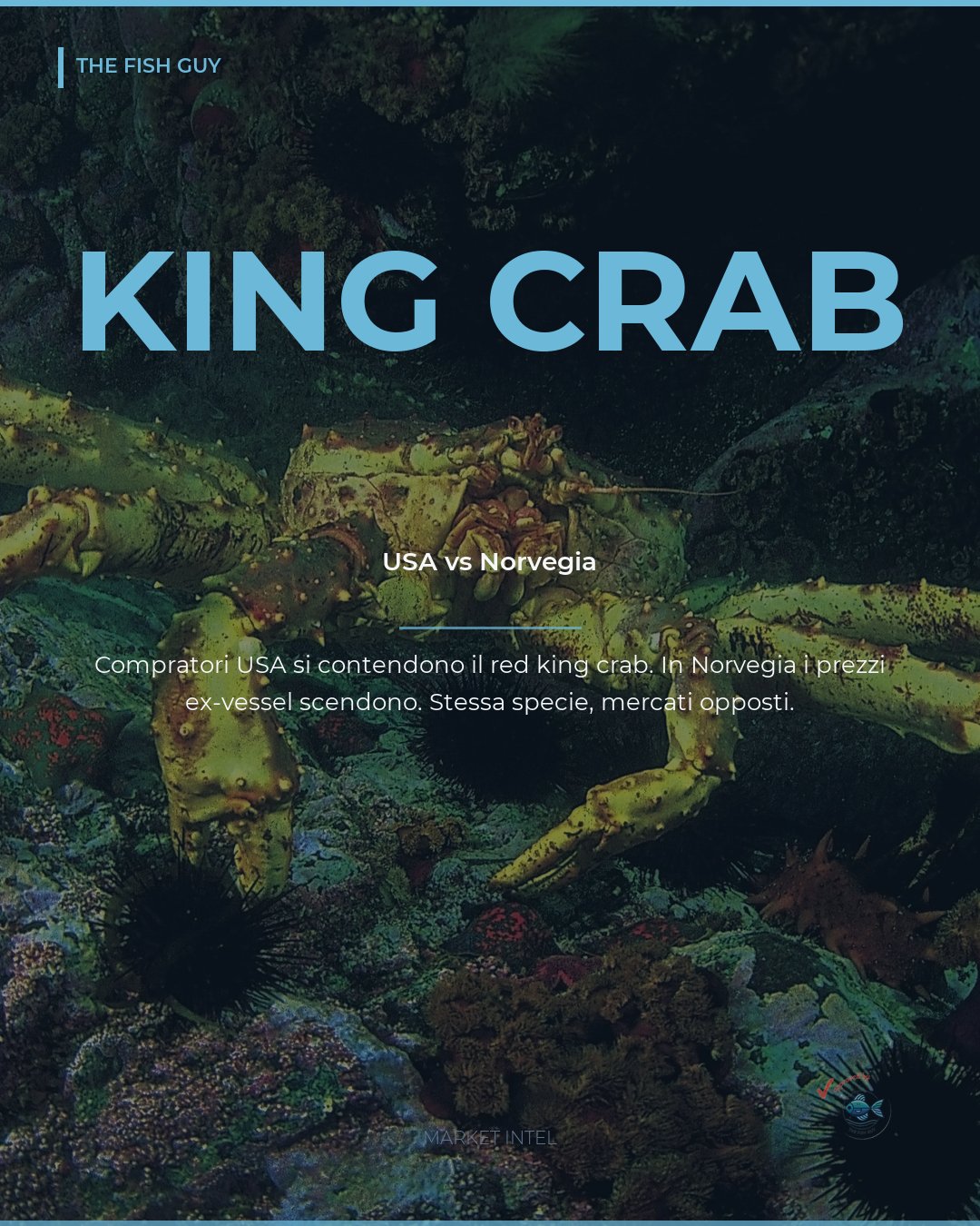 King crab: mercato USA teso, prezzi giù in Norvegia
