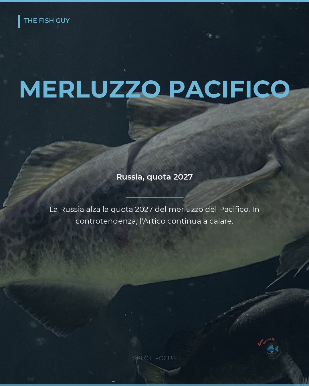 Merluzzo del Pacifico: la Russia alza la quota 2027 del 5%