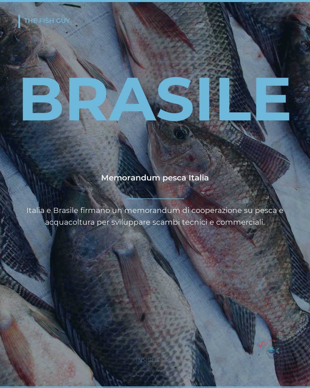 Italia-Brasile: memorandum di cooperazione su pesca e acquacoltura