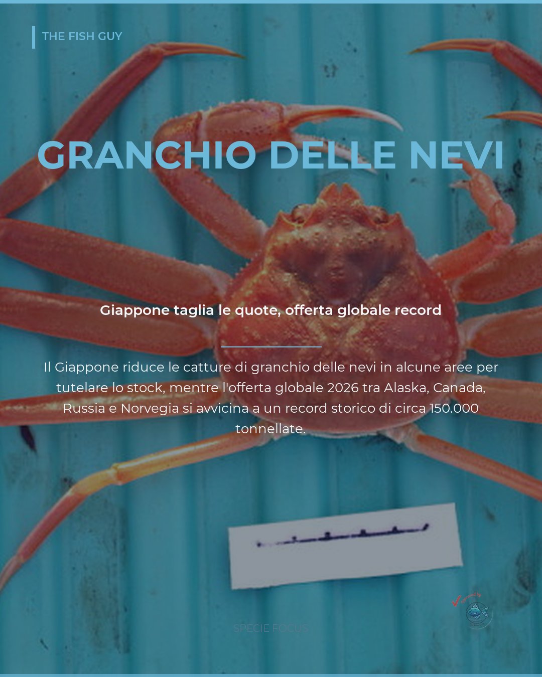 Granchio delle nevi: il Giappone taglia le quote, offerta globale record