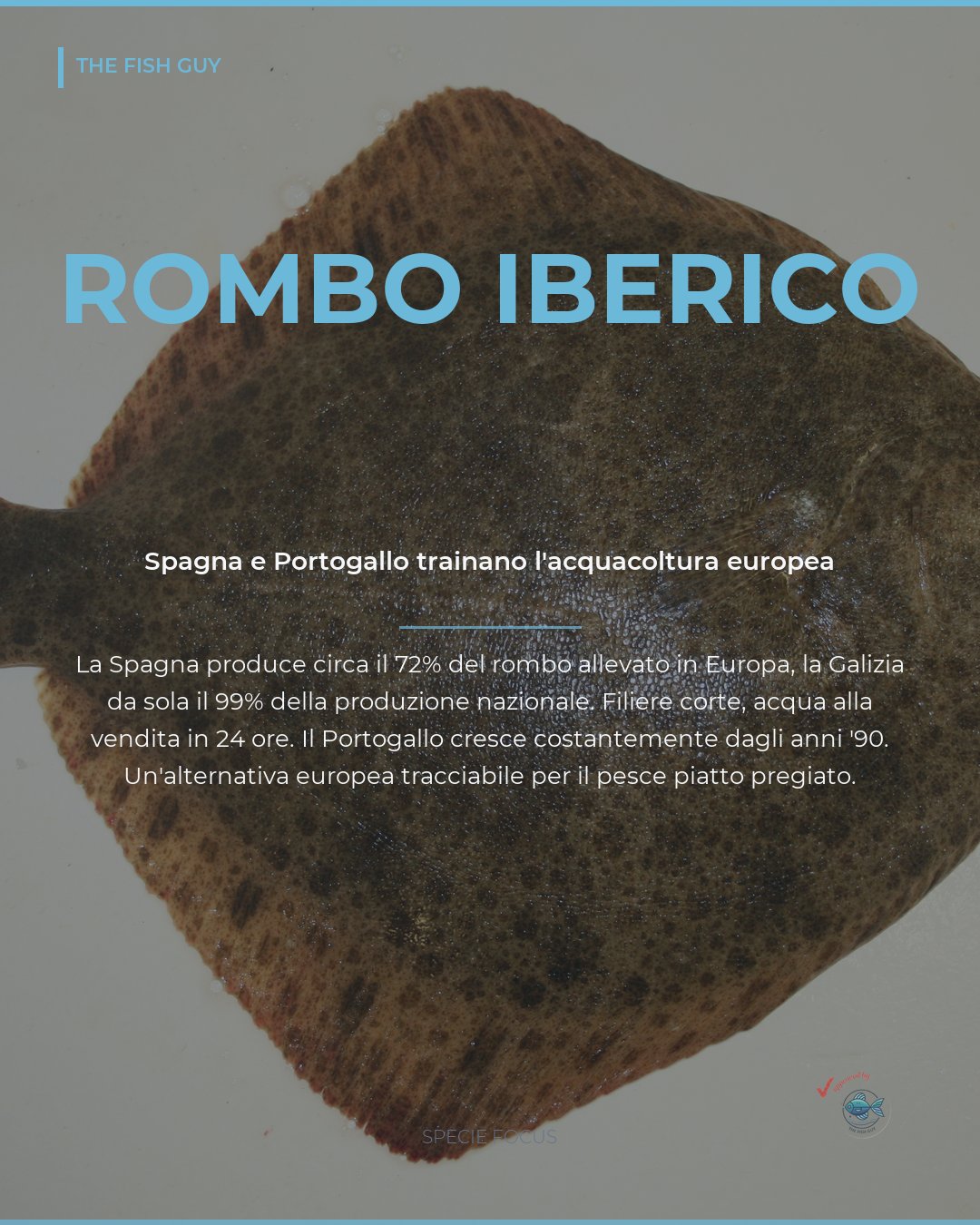 Rombo: l'acquacoltura iberica cresce e diventa un'origine strutturale