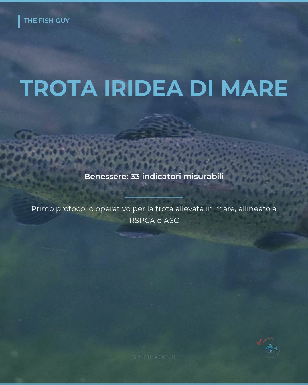 Trota iridea di mare: 33 indicatori per misurare il benessere
